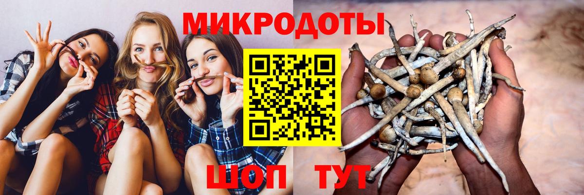 Псилоцибиновые грибы GOLDEN TEACHER Черняховск