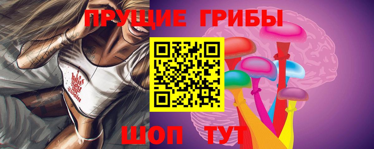 Псилоцибиновые грибы прущие грибы  Вход с VPN  Псилоцибиновые грибы прущие грибы  Черняховск 